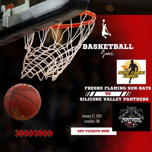 Fresno Flaming Sun Rays vs. Silicone Valley Panthers poster