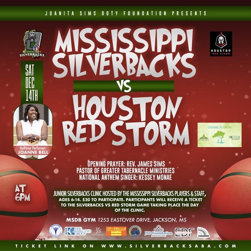 Mississippi Silverbacks vs Houston Red Storm  poster