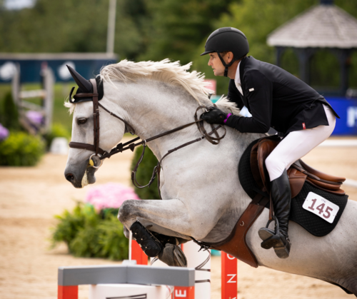Summer’s Best Day Out | FEI Elk Rapids Marina CSI3* Grand Prix image
