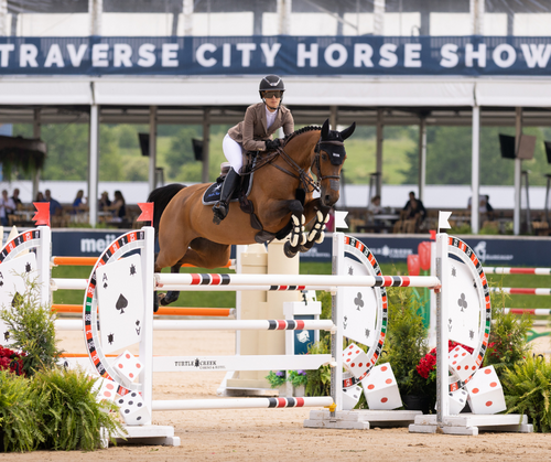 World-Class Horse Jumping in Traverse City image