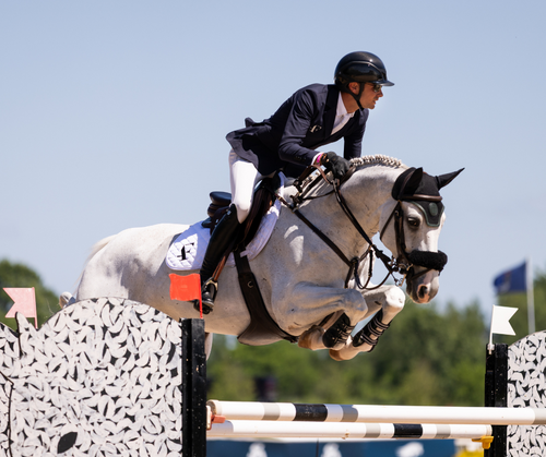 High-Stakes Horse Jumping in Traverse City image