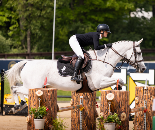 Sunday Show Jumping in Traverse City image